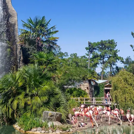 Awesome In With Wi-fi Apartmán