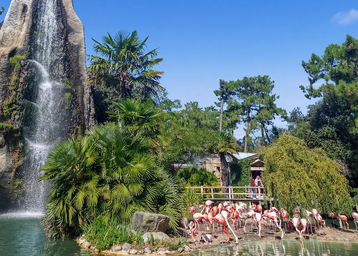 Awesome In With Wi-fi Apartamento